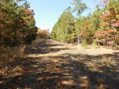 Acreage For Sale Lakeway Community Near Peel & Bull Shoals - image 5