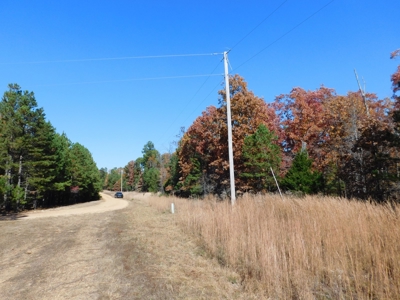 Acreage For Sale Lakeway Community Near Peel & Bull Shoals - image 6