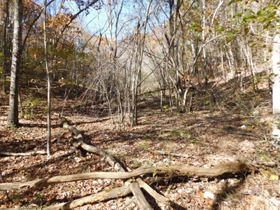 Acreage For Sale Lakeway Community Near Peel & Bull Shoals - image 2