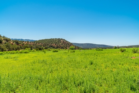 67 Acres In Canon City Colorado Bordering Blm For 4265' - image 18