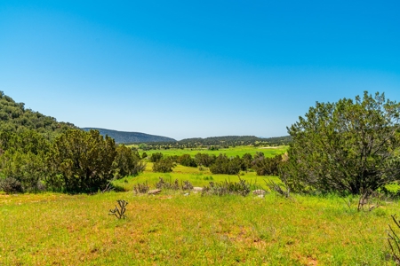 67 Acres In Canon City Colorado Bordering Blm For 4265' - image 13