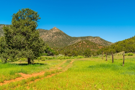 67 Acres In Canon City Colorado Bordering Blm For 4265' - image 8