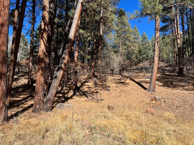 Mountain Property For Sale near access to Brazos River - image 1