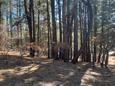 Mountain Property For Sale near access to Brazos River - image 4