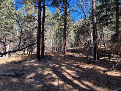 Mountain Property For Sale near access to Brazos River - image 3