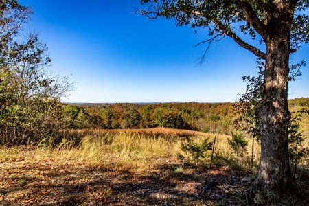 Arkansas Country Home and Land for Sale in Searcy County - image 37