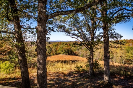 Arkansas Country Home and Land for Sale in Searcy County - image 34