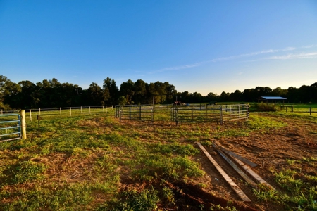 Dream Home Near Hoosier National Forest and Patoka Lake - image 3