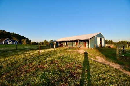 Dream Home Near Hoosier National Forest and Patoka Lake - image 4
