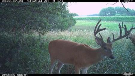 723 Acre Whitetail Heaven Combo Farm In Southern Iowa - image 43