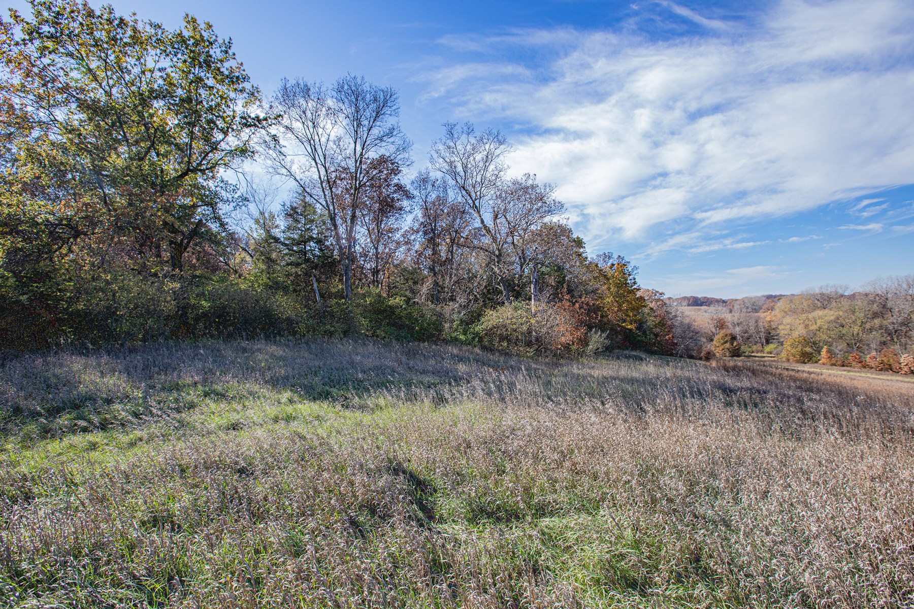 723 Acre Whitetail Heaven Combo Farm In Southern Iowa - image 3