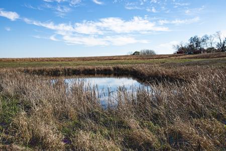 723 Acre Whitetail Heaven Combo Farm In Southern Iowa - image 14