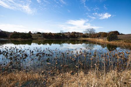 723 Acre Whitetail Heaven Combo Farm In Southern Iowa - image 7