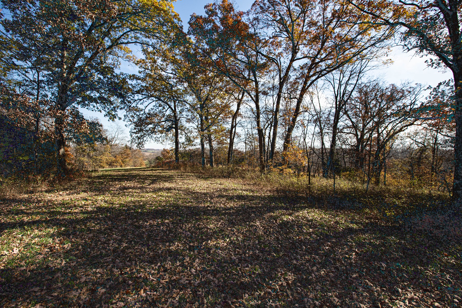 723 Acre Whitetail Heaven Combo Farm In Southern Iowa - image 15