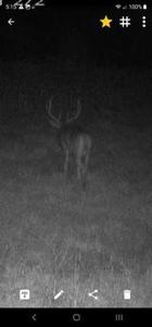 723 Acre Whitetail Heaven Combo Farm In Southern Iowa - image 38