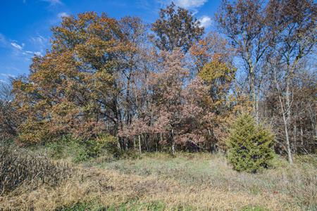 723 Acre Whitetail Heaven Combo Farm In Southern Iowa - image 6