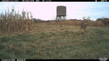 723 Acre Whitetail Heaven Combo Farm In Southern Iowa - image 46