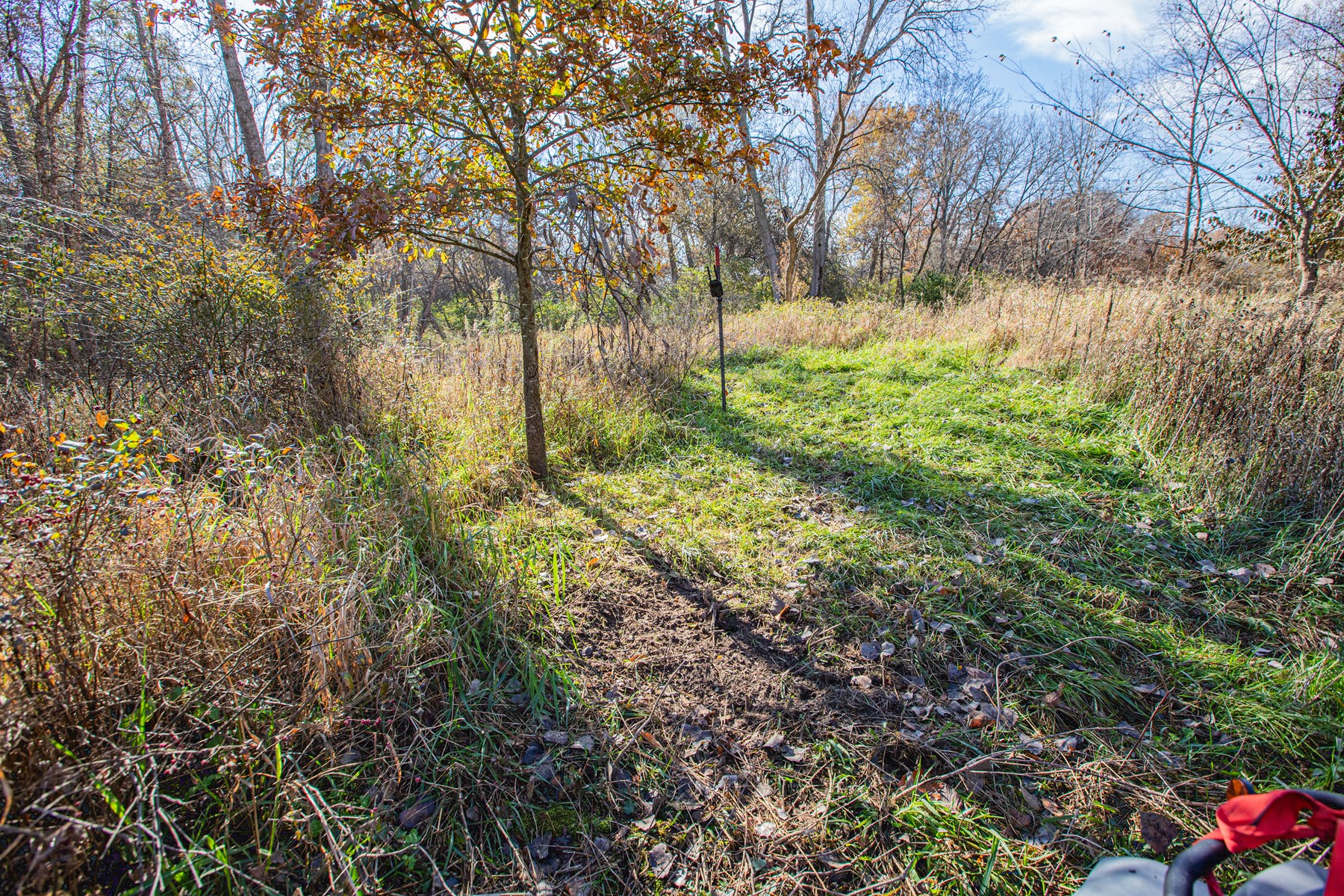 723 Acre Whitetail Heaven Combo Farm In Southern Iowa - image 4