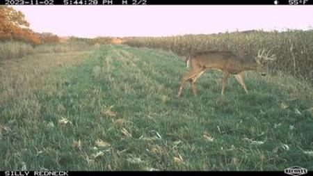 723 Acre Whitetail Heaven Combo Farm In Southern Iowa - image 45