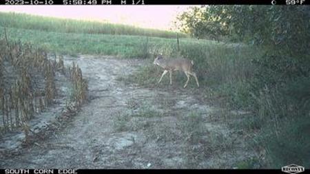 723 Acre Whitetail Heaven Combo Farm In Southern Iowa - image 42