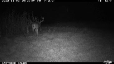 723 Acre Whitetail Heaven Combo Farm In Southern Iowa - image 41