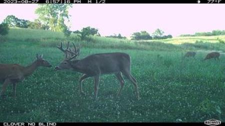 723 Acre Whitetail Heaven Combo Farm In Southern Iowa - image 47