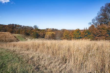 723 Acre Whitetail Heaven Combo Farm In Southern Iowa - image 8