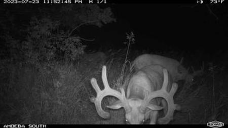 723 Acre Whitetail Heaven Combo Farm In Southern Iowa - image 50