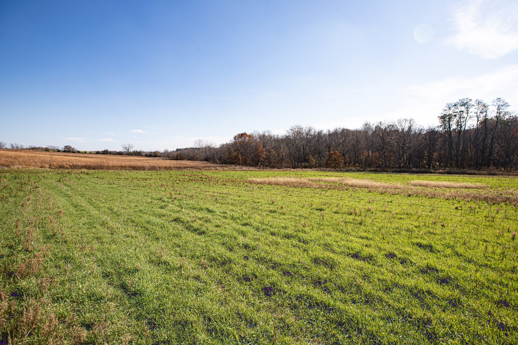 723 Acre Whitetail Heaven Combo Farm In Southern Iowa - image 20