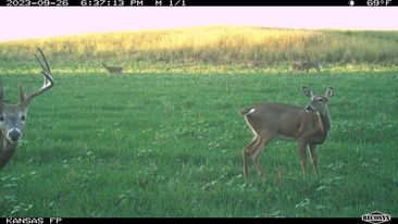 723 Acre Whitetail Heaven Combo Farm In Southern Iowa - image 48