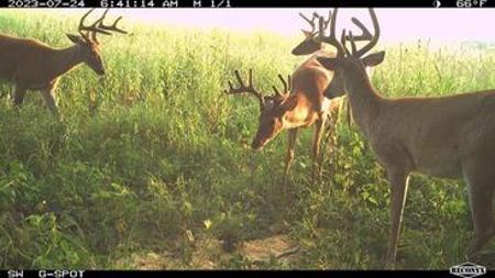 723 Acre Whitetail Heaven Combo Farm In Southern Iowa - image 44