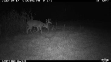 723 Acre Whitetail Heaven Combo Farm In Southern Iowa - image 39