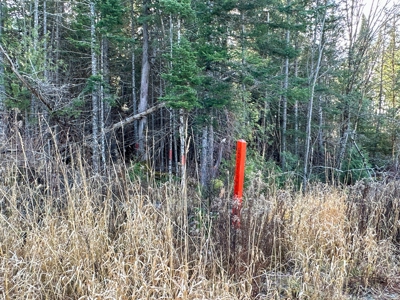 A Maine Real Estate Investment to Stand On - image 8