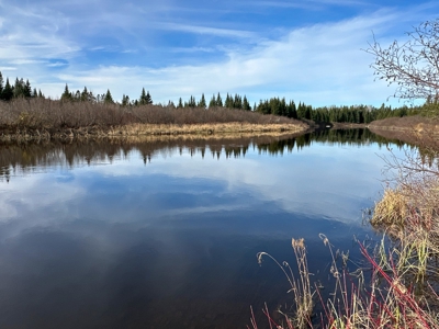 A Maine Real Estate Investment to Stand On - image 4