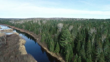 A Maine Real Estate Investment to Stand On - image 3