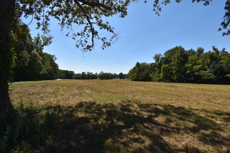 Tennessee River Front Property For Sale!!! - image 7