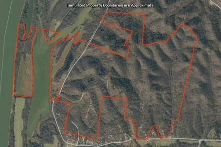 Tennessee River Front Property For Sale!!! - image 12