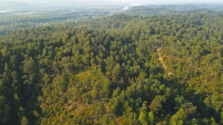 Tennessee River Front Property For Sale!!! - image 16