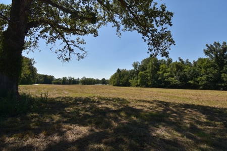 Tennessee River Front Property For Sale!!! - image 8