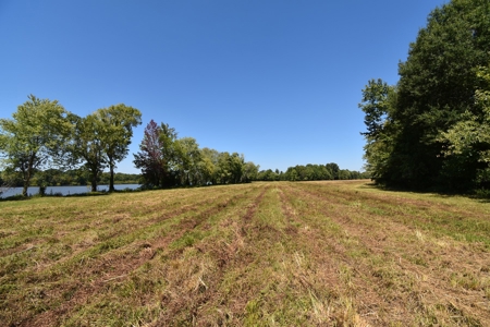 Tennessee River Front Property For Sale!!! - image 2