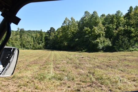 Tennessee River Front Property For Sale!!! - image 5
