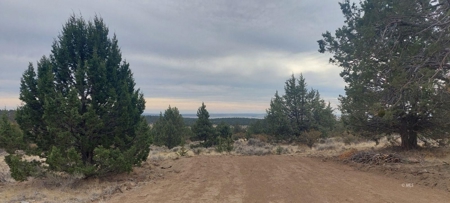 Bordering US Forest Service/362 Acres/Home Site/Wildlife - image 8