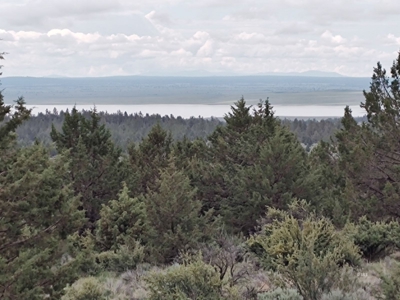 Bordering US Forest Service/362 Acres/Home Site/Wildlife - image 28