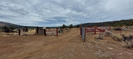 Bordering US Forest Service/362 Acres/Home Site/Wildlife - image 15