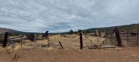 Bordering US Forest Service/362 Acres/Home Site/Wildlife - image 17
