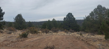 Bordering US Forest Service/362 Acres/Home Site/Wildlife - image 10