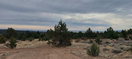 Bordering US Forest Service/362 Acres/Home Site/Wildlife - image 13