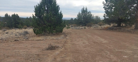 Bordering US Forest Service/362 Acres/Home Site/Wildlife - image 7