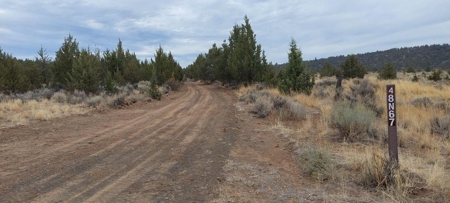 Bordering US Forest Service/362 Acres/Home Site/Wildlife - image 18