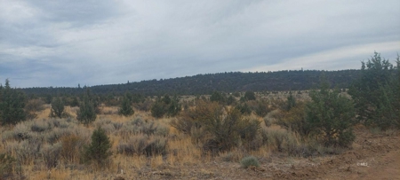 Bordering US Forest Service/362 Acres/Home Site/Wildlife - image 6